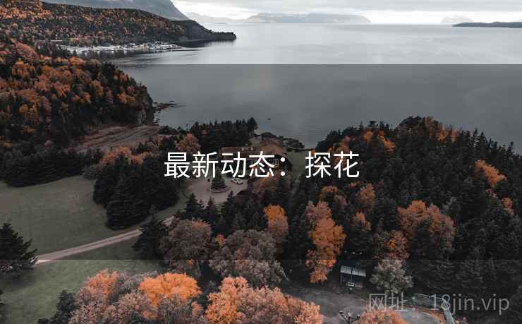 最新动态:探花