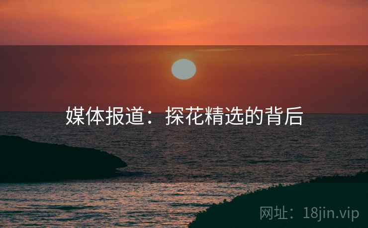 详细阅读:媒体报道:探花精选的背后 媒体报道:探花精选的背后