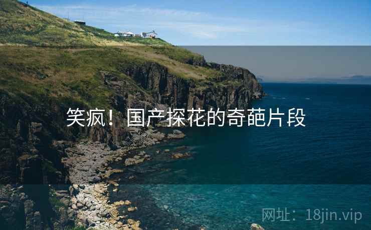 笑疯！国产探花的奇葩片段