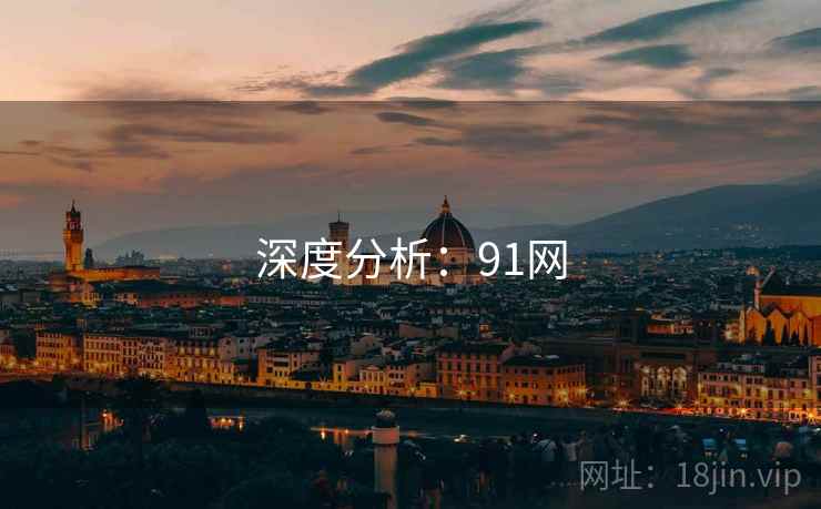 深度分析:91网