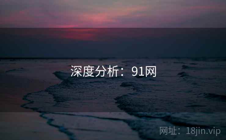深度分析:91网